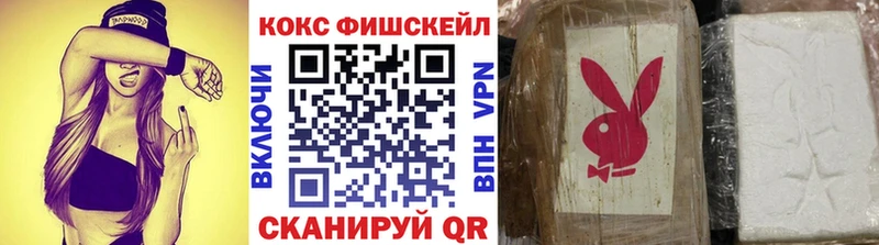 Купить закладки  Бородино  Кокаин 98% 