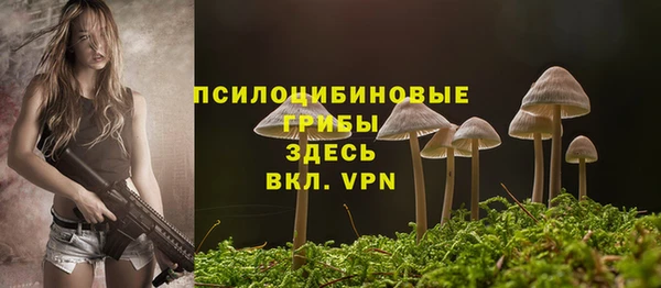 марки lsd Горнозаводск