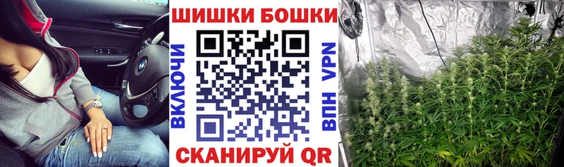 Бошки Шишки THC 21%  Купить закладки  Бородино 
